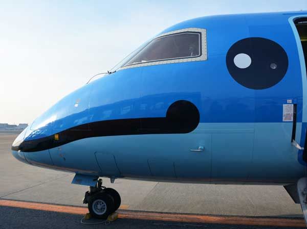 たった1機の 親子イルカ みぞか号 を乗り倒す旅 天草エアライン パラダイス運賃 搭乗レポート その1 Traicy トライシー たった1機の 親子イルカ みぞか号 を乗り倒す旅 天草エアライン パラダイス運賃 搭乗レポート その1 Traicy トライシー