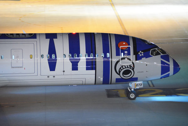 R2D2-HND1