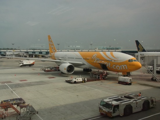 aed49977-s.jpg
