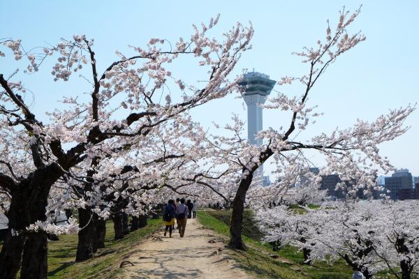 Goryokaku_Park-34