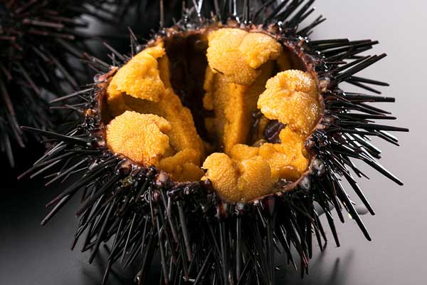 uni