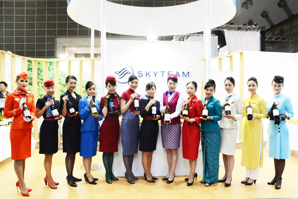 skyteam1