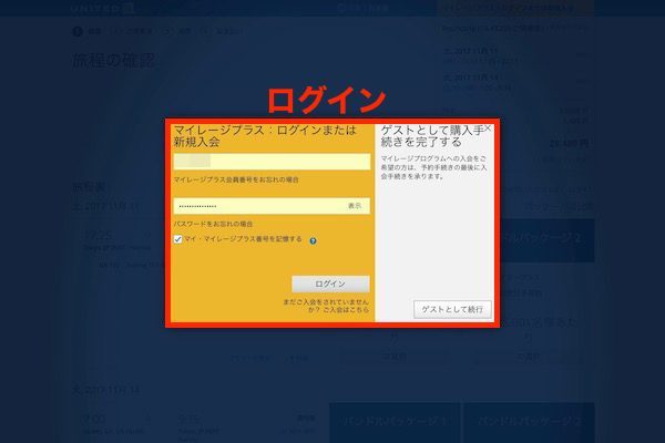ユナイテッド航空　予約画面