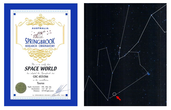 スペースワールド 星の命名権取得 Space World と命名 Traicy トライシー スペースワールド 星の命名権取得 Space World と命名 Traicy トライシー