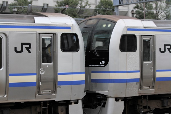 e217.jpg