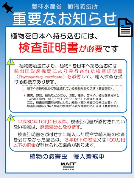 日本への植物の持ち込み 一部を除き検査証明書の添付必須に きょうから Traicy トライシー