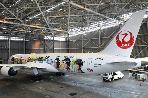 嵐ジェット JAL B787-9 JA873J Hawaii