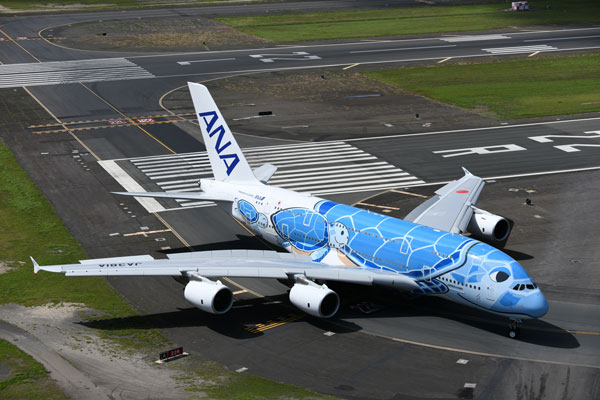 ANA、「フライングホヌ」就航3周年でチャーターフライト実施 成田発着 