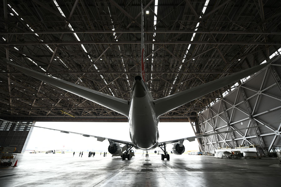 JAL（ボーイング787-8型機、国内線仕様機）