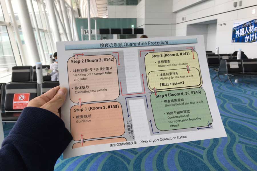 帰国 2 から 週間 海外 【コロナ】海外からの帰国者が空港から移動する方法│オランダジェーピー lentcardenas.com