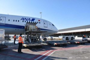 ワクチン輸送（提供：ファイザー/DHL/ANA）
