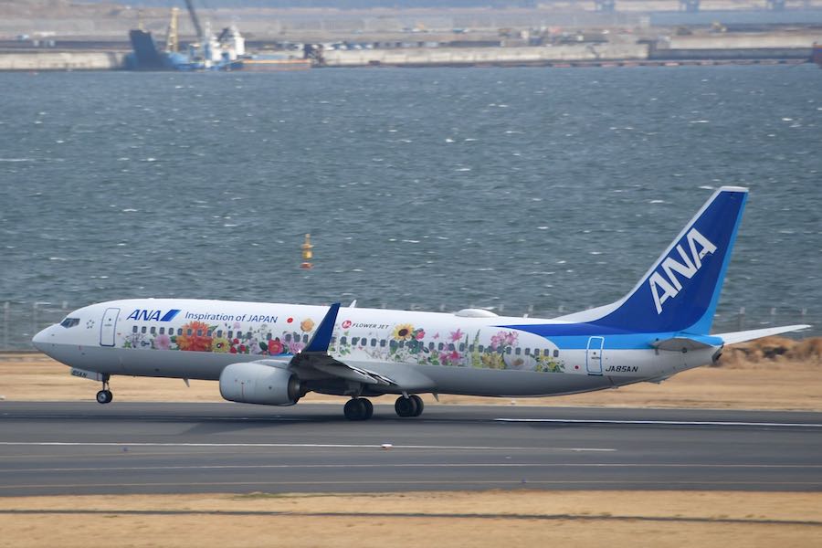 ANA フラワージェット ボーイング737-800-