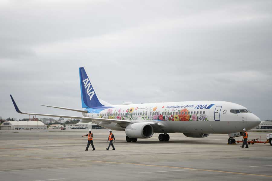 ANA B737-800 東北フラワージェット塗装-