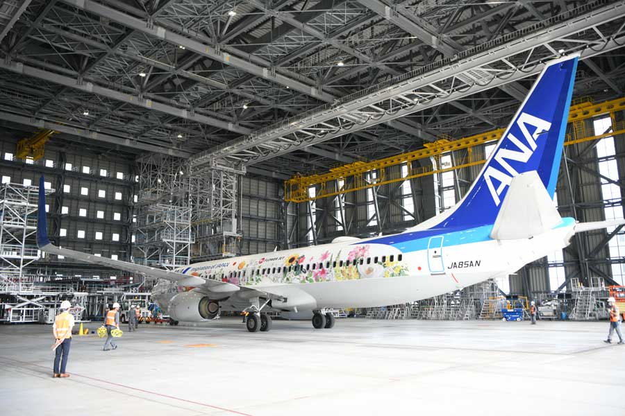 ANA、「東北FLOWER JET」を通常塗装に 那覇空港のMRO Japanで
