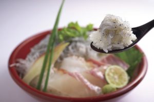 淡路島の生しらす海鮮丼