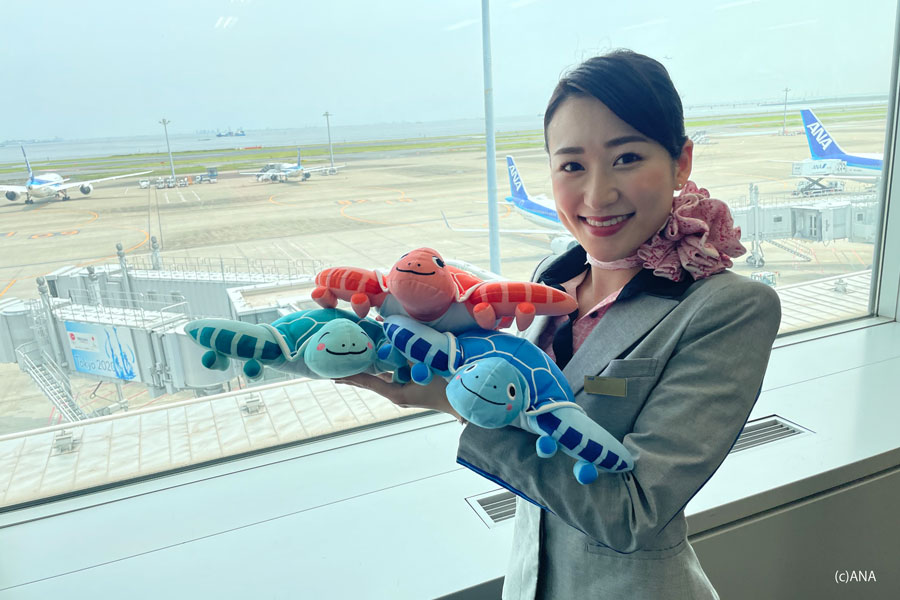 ANA機内販売限定 フライングホヌ A380 HONU ぬいぐるみ ホノルル