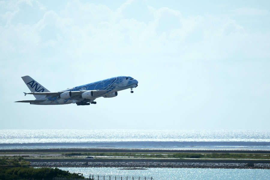 エアバスA380型機「フライングホヌ」、那覇から成田へ ツアー客