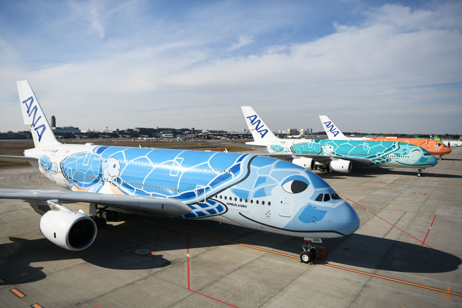 購入OK 【レア】ANA 成田空港限定 フライングホヌ ぬいぐるみ ハワイ