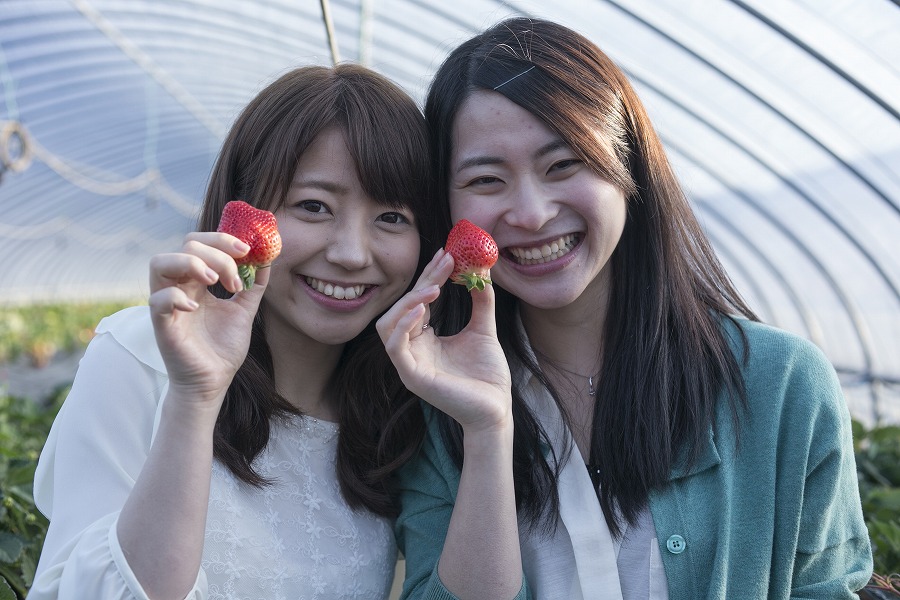 休暇村志賀島 あまおう食べ放題