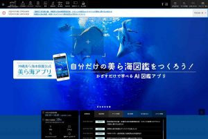 美ら海水族館 ウェブサイト