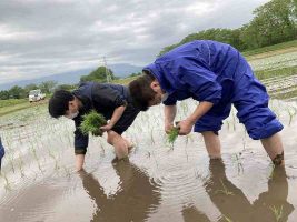 雫石プリンスホテル 田植え