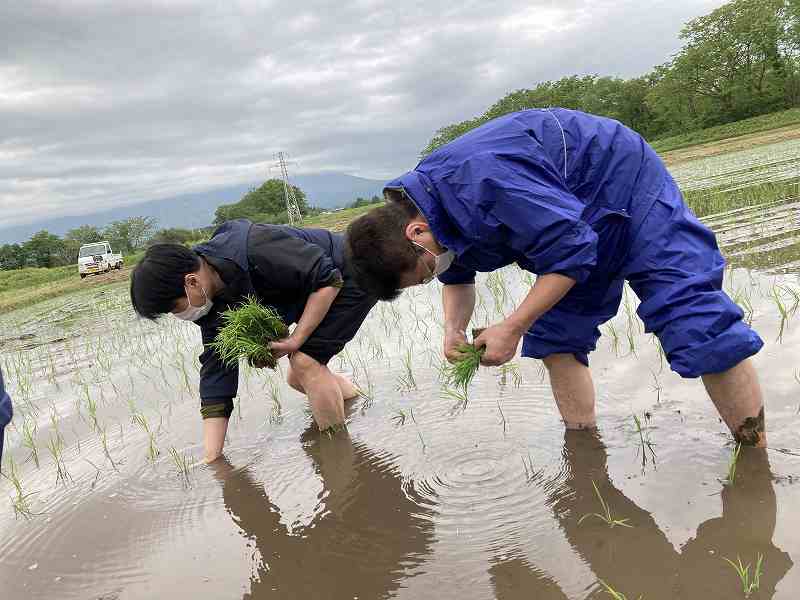 雫石プリンスホテル 田植え