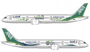 ANA Future Promise特別塗装機