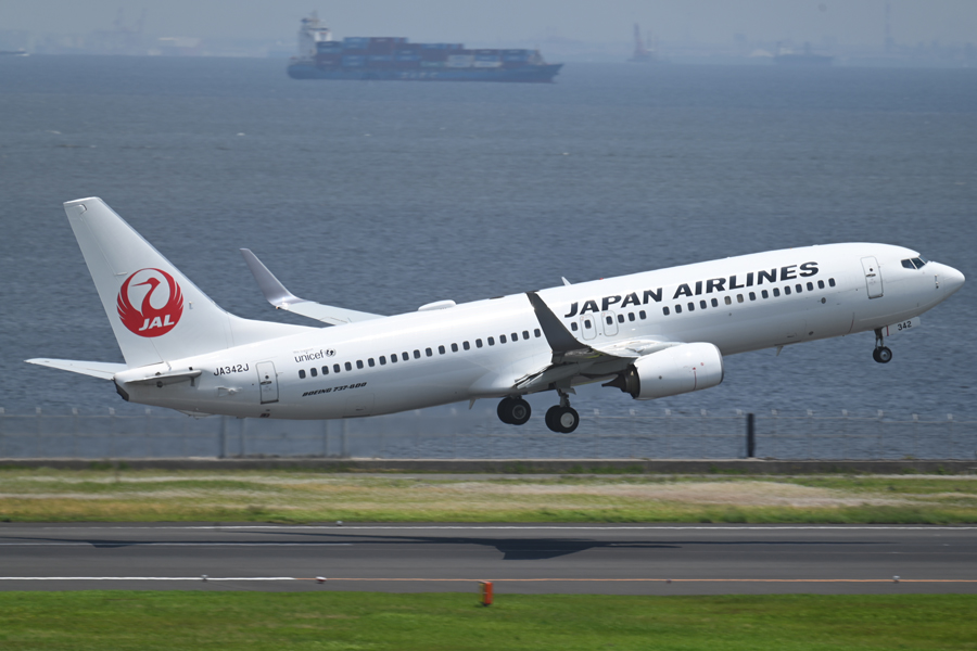 JAL (Boeing 737-800)