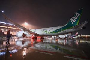 ANA Green Jet