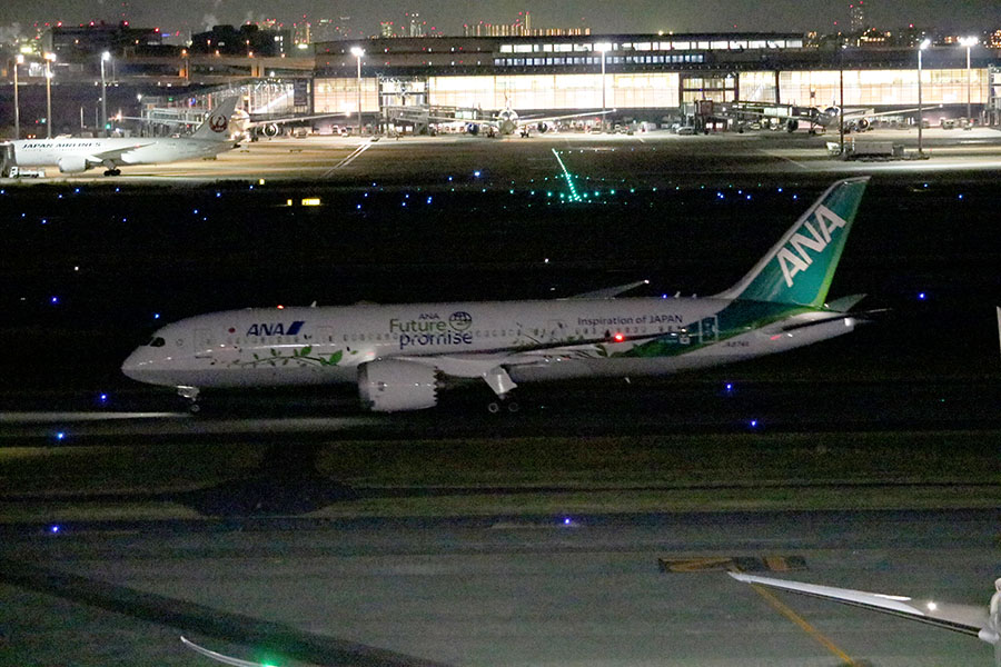 ANA Green Jet