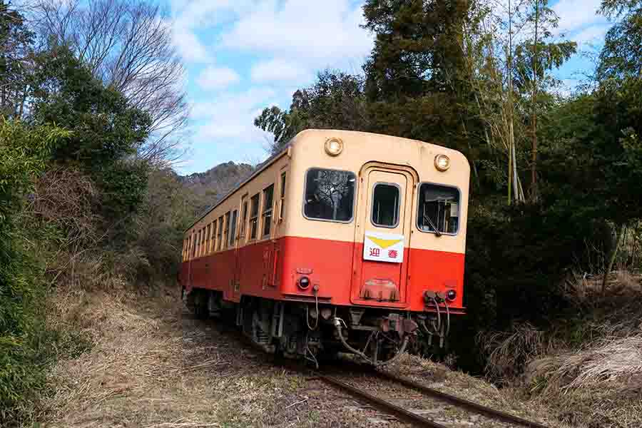 小湊鐵道 キハ200形 阪神電車ヘッドマーク