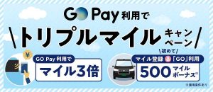 GO Pay 3倍