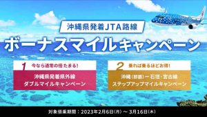 JAL 沖縄JTA路線 ボーナスマイル