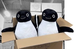 Suicaのペンギン ぬいぐるみXL