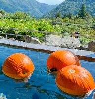 箱根小涌園ユネッサン