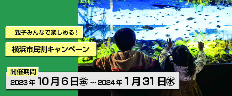 カワスイ 川崎水族館