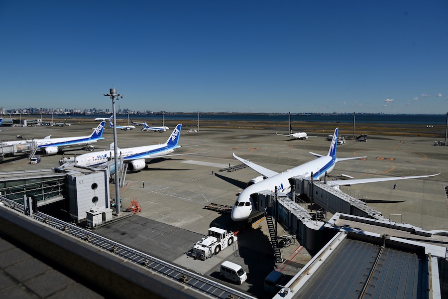 ANA's Boeing 787 fleet at Haneda