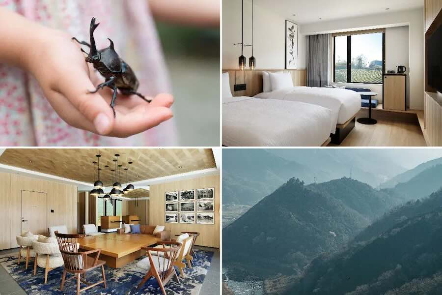 Fairfield by Marriott Kyoto Minamiyamashiro Hosts ‘Nighttime Insect Collecting Activity’ From July 19th to August 11th