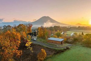 ストンプ・スタンプ、The Hilltop Niseko