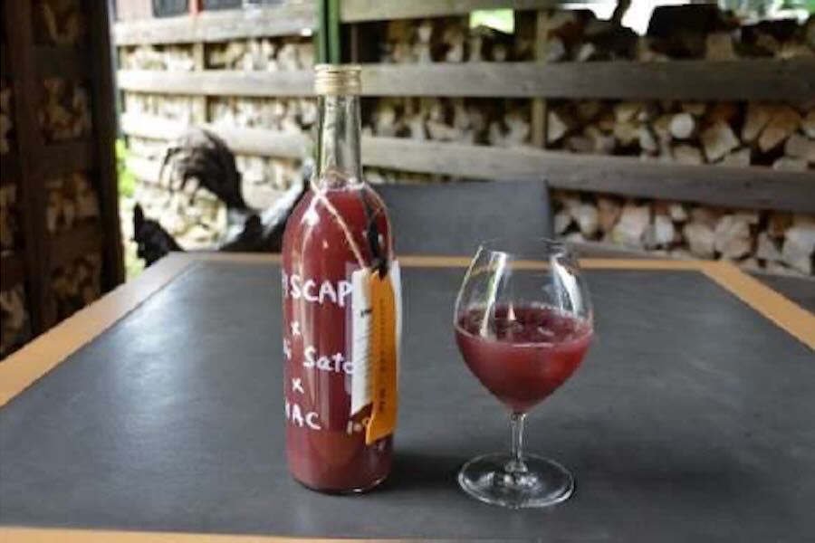 HAC Begins In-flight Sales of AGRISCAPE’s Grape and Pear Juice