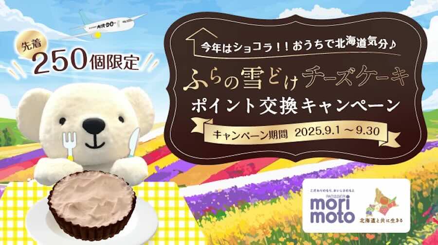 AIRDO Points Redemption for Furano Yukidoke Cheesecake (Chocolat) in September