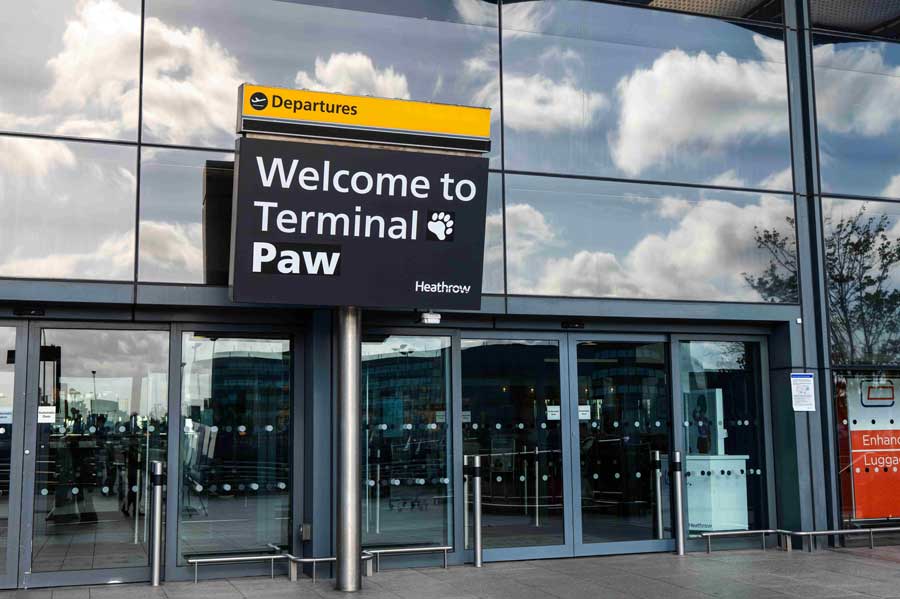 Heathrow temporarily renames Terminal 4 ‘Terminal Paw’ to mark return of two bears Heathrow temporarily renames Terminal 4 ‘Terminal Paw’ to mark return of two bears