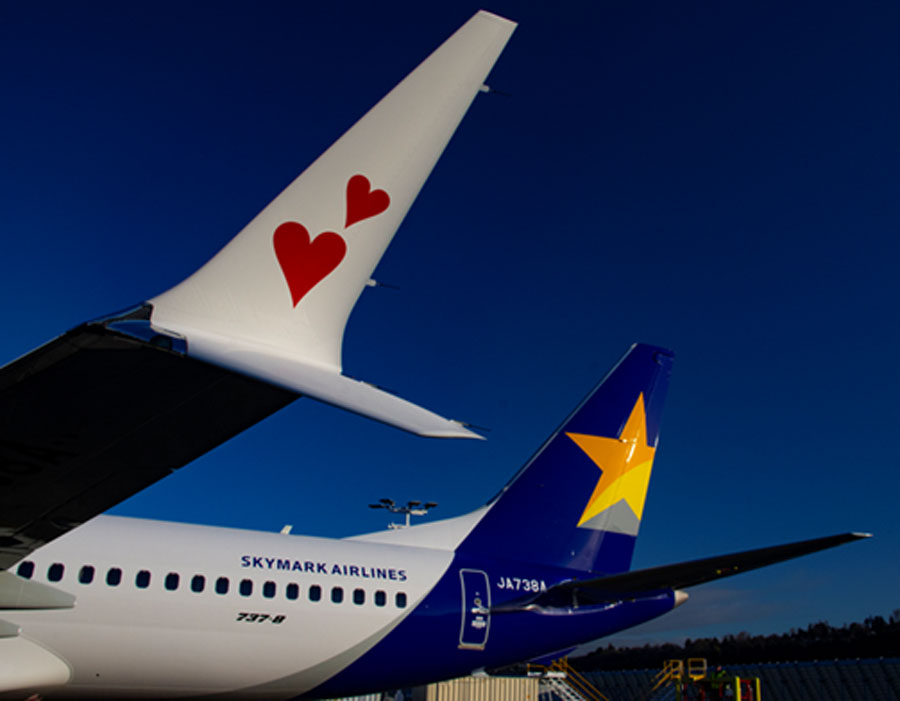 Skymark Boeing 737-8 side view