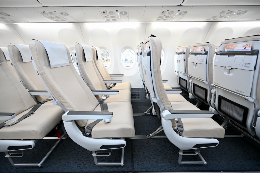 Skymark 737-8 seatbacks and tray tables