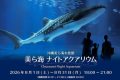 沖縄美ら海水族館