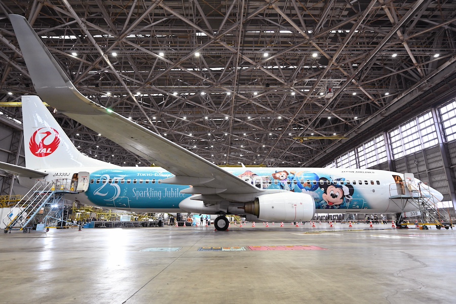 Front view of the special livery aircraft