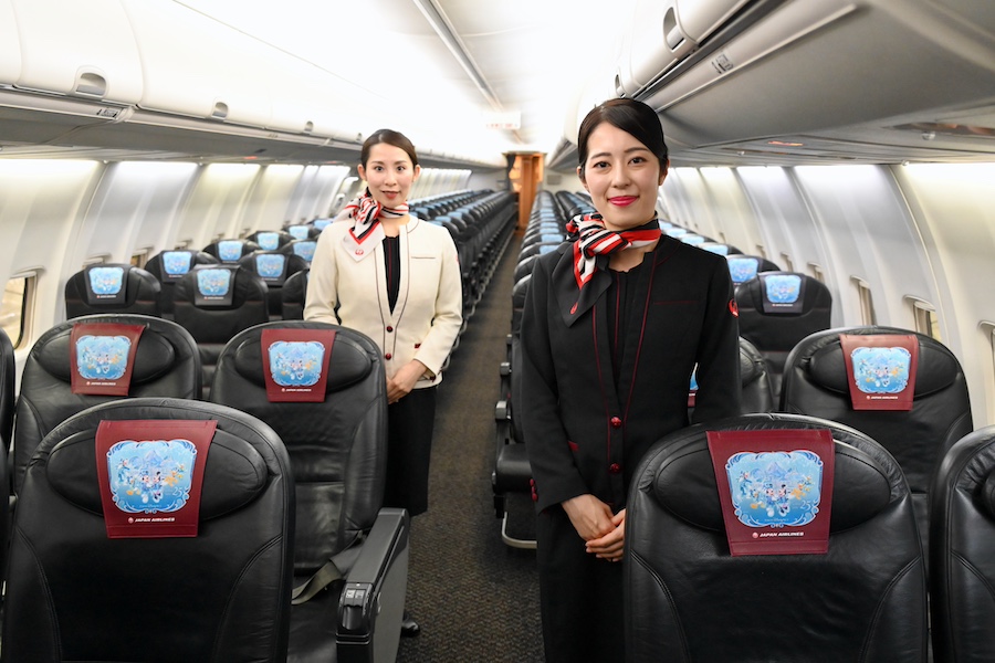Cabin interior with special headrest covers