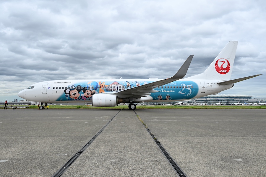 Cabin view of JAL Jubilee Express special livery aircraft