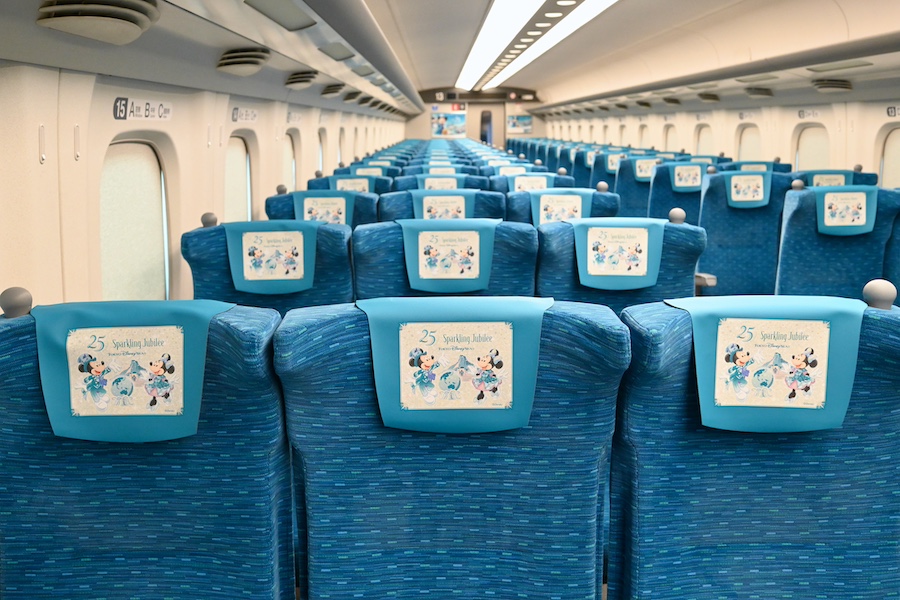 Interior seat design and headrest covers