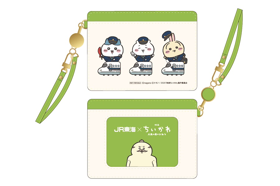 Original pass case